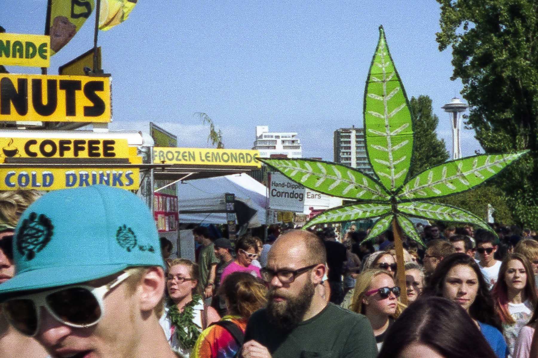 Cannabis Evangelism