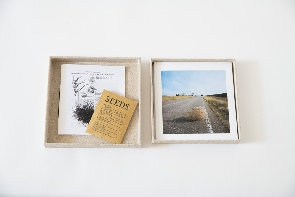 Books, Boxes, and Prints