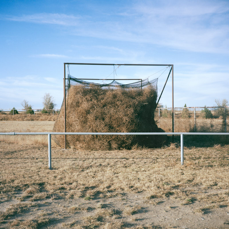 A batting cage filled with tumbleweeds