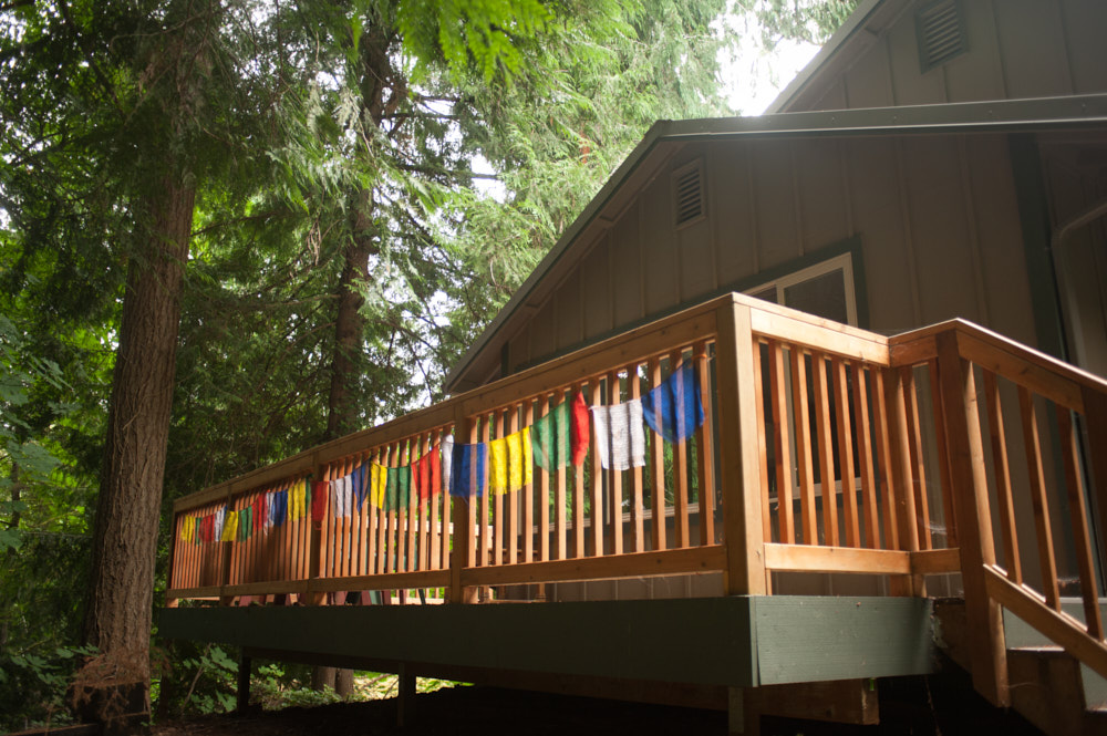 A cabin in the woods decorated with flags