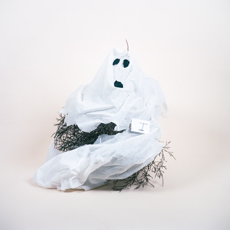 A tumbleweed decorated as a ghost