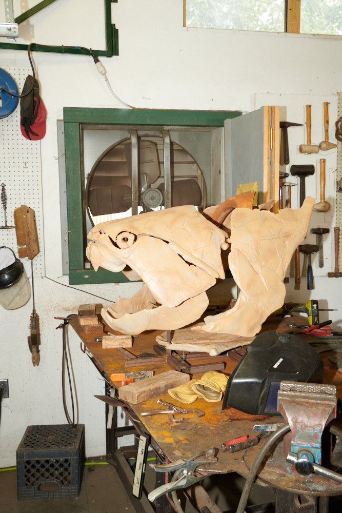 A replica dunkleosteus head sitting on a table