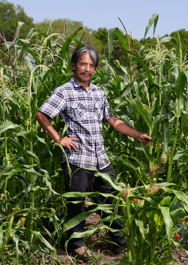 A portrait of a farmer holding corn