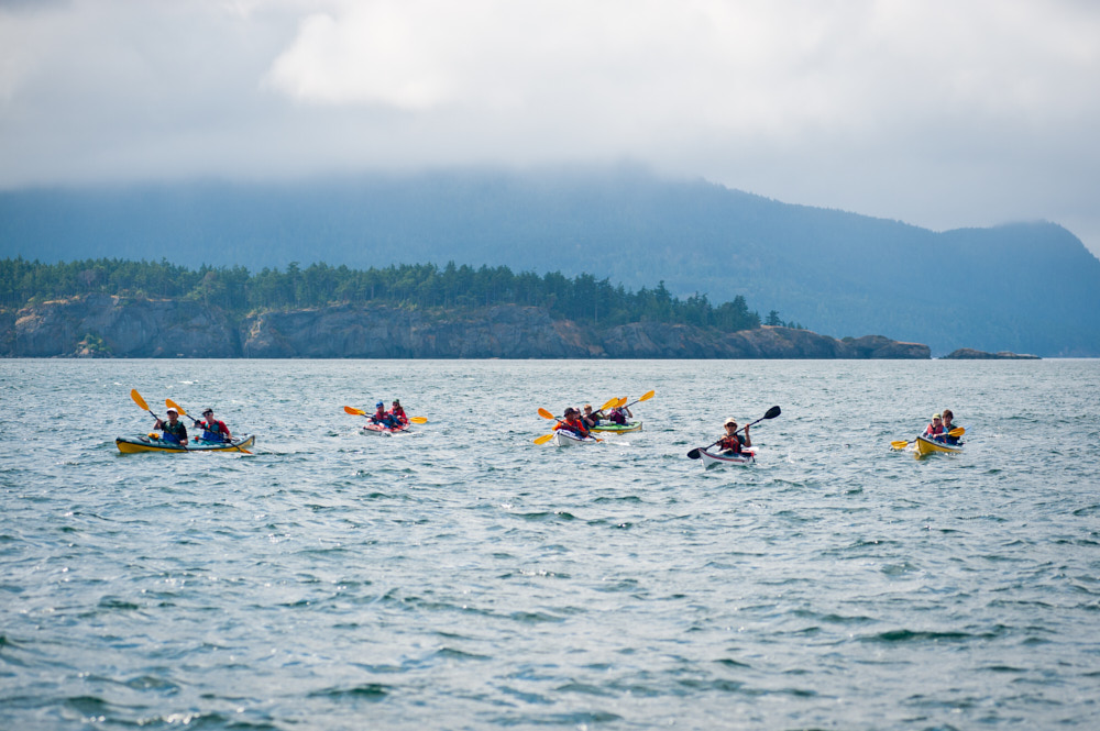 A group of kayakers on open water