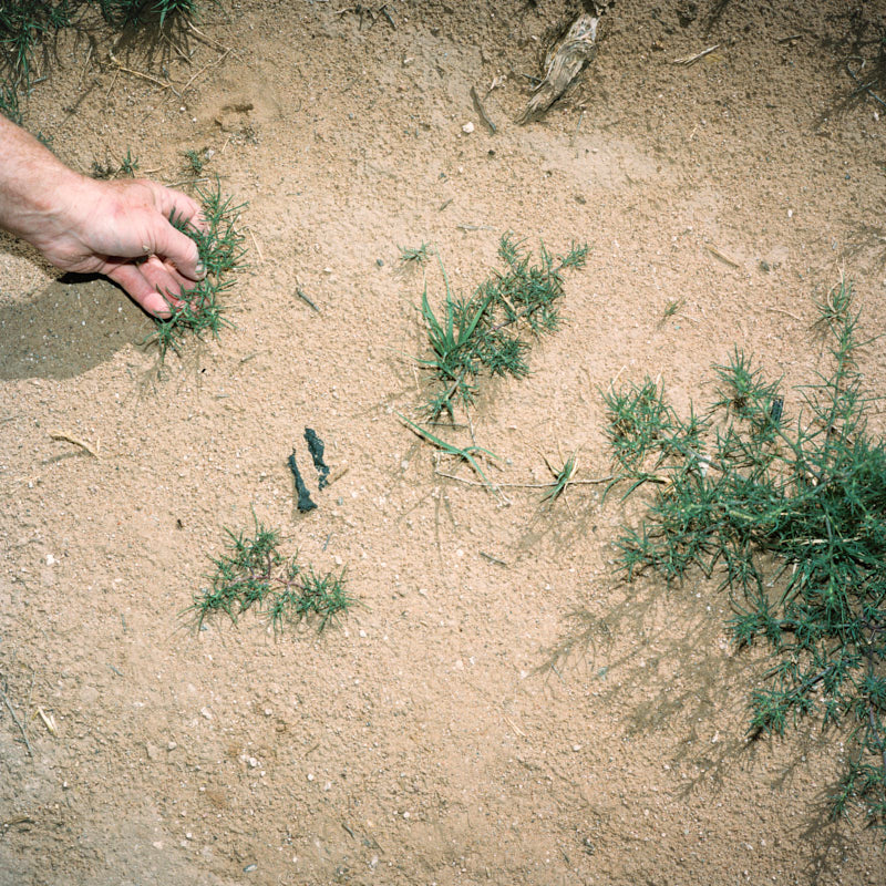 A hand picking green tumbleweeds