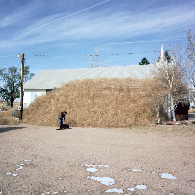 A man and dog outside a church covered with tumbleweeds