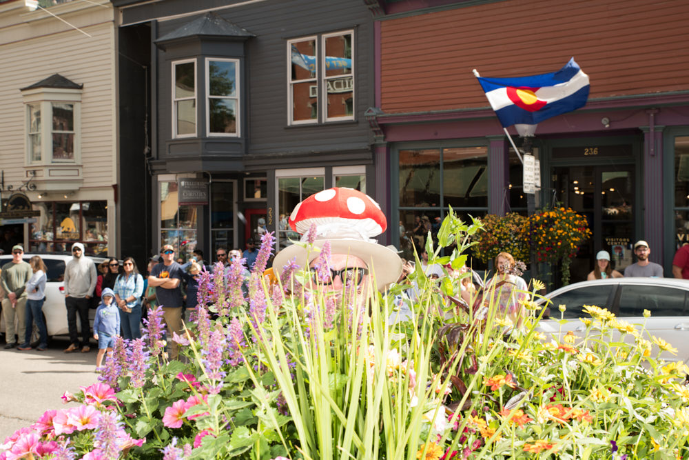 A man in a mushroom hat hiding behind a plant