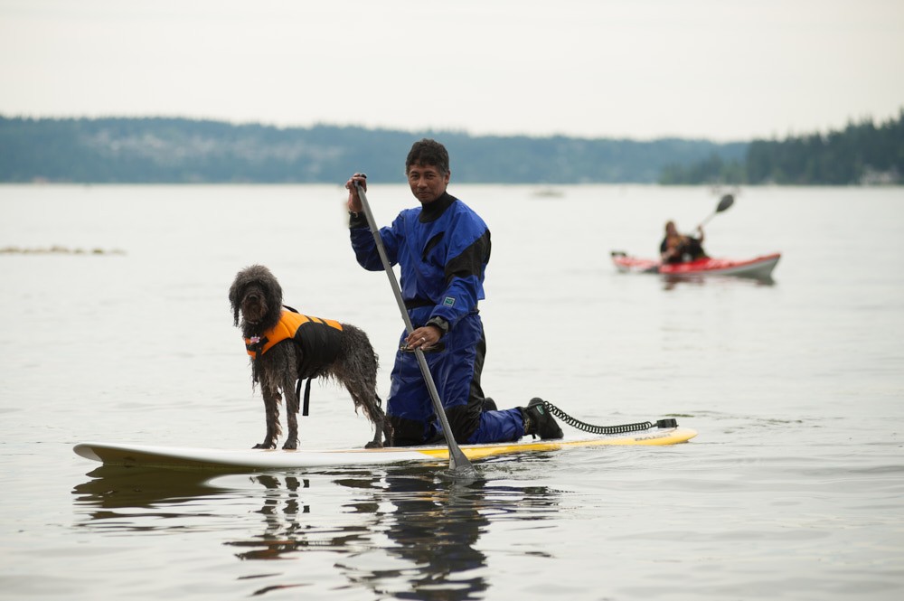 A man paddleboarding with a dog on a lake