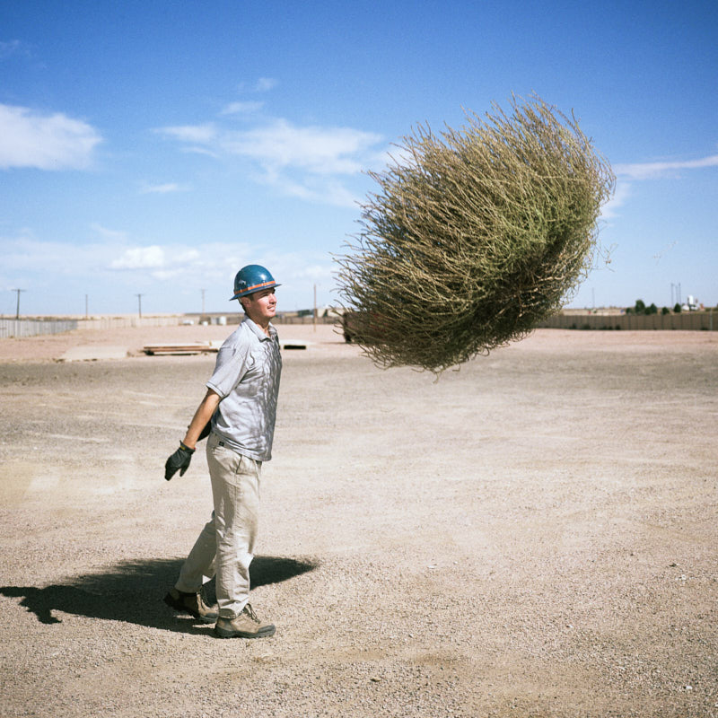 A man in a hard hat throwing a large tumbleweed