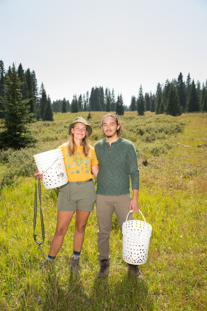 Two mushroom hunters holding buckets