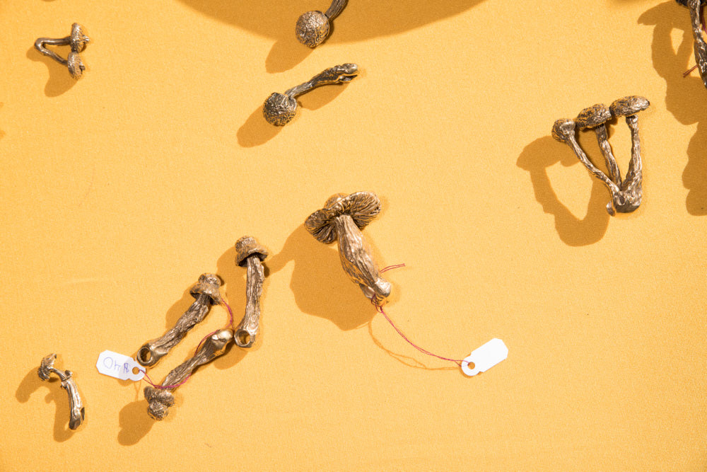 Mushroom jewelry on an orange cloth