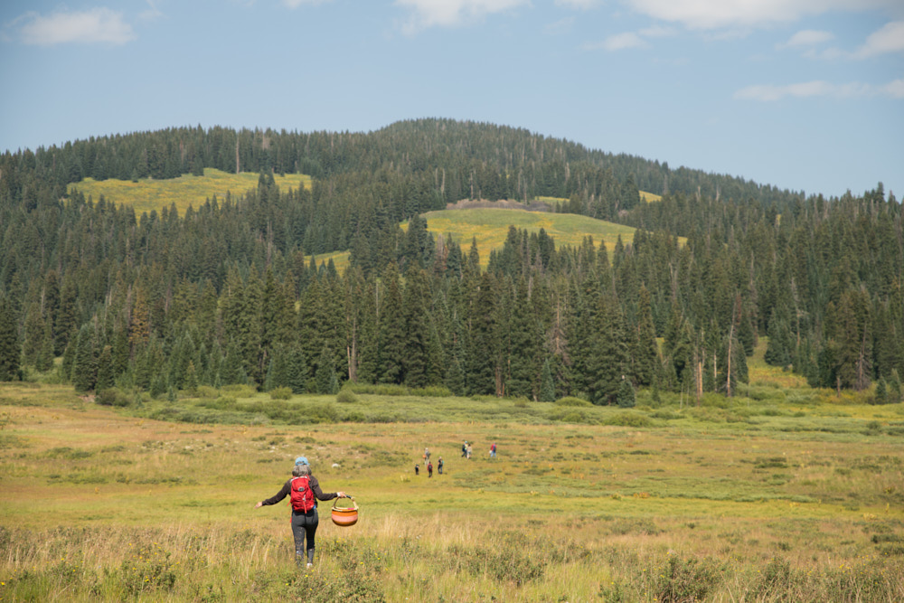 A woman with a basket foraging in the wilderness near Telluride