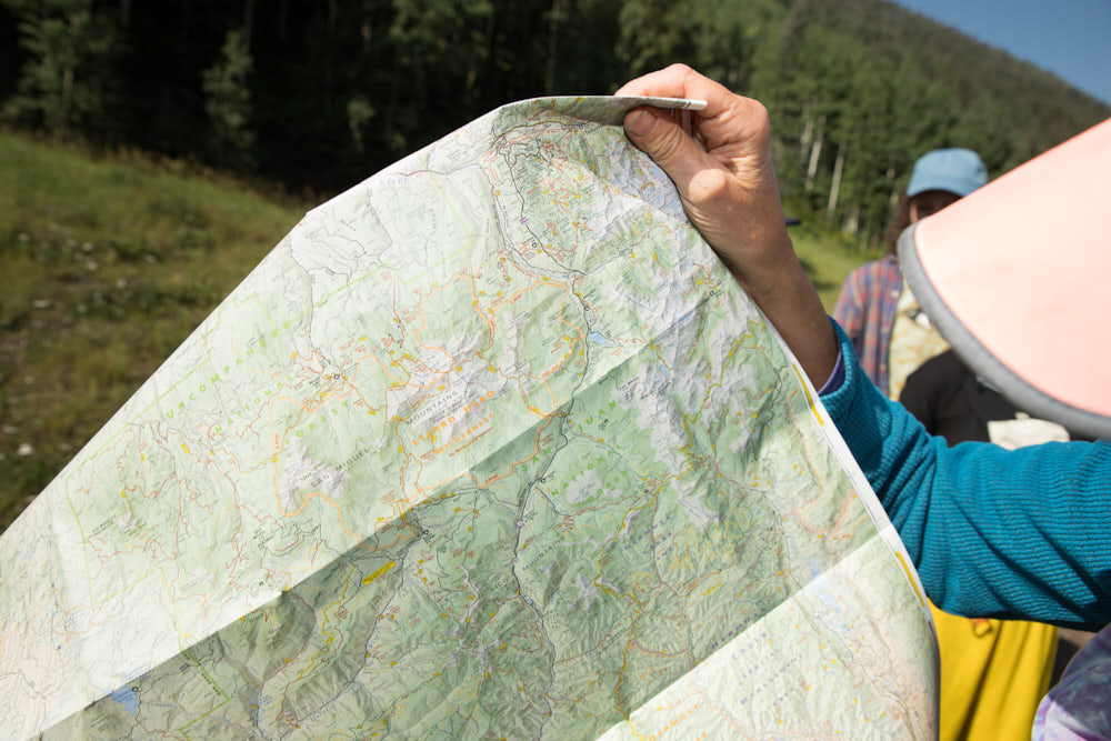 A person looking at a map