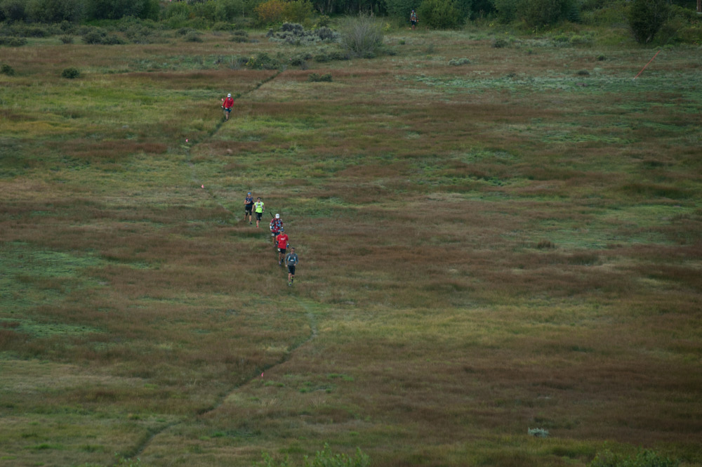 A wide overhead view of runners