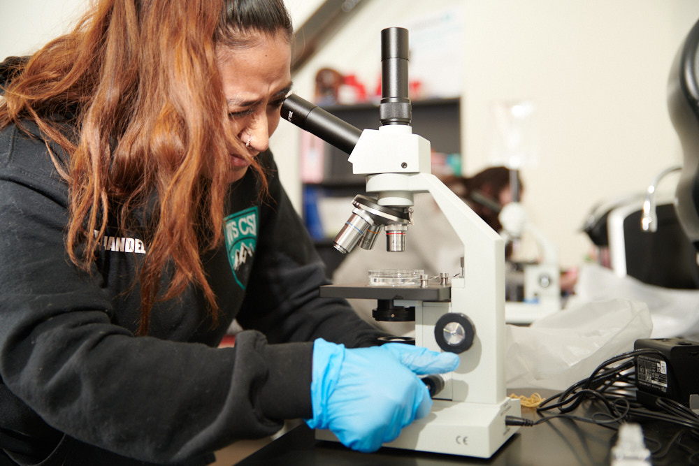 A female student wearing gloves uses a microscope