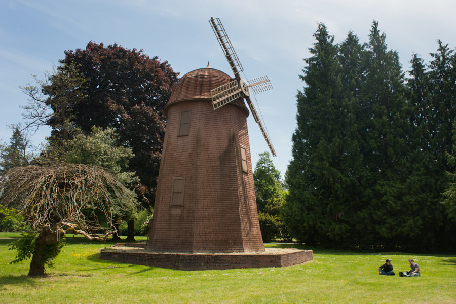 Two people sitting under a windmill