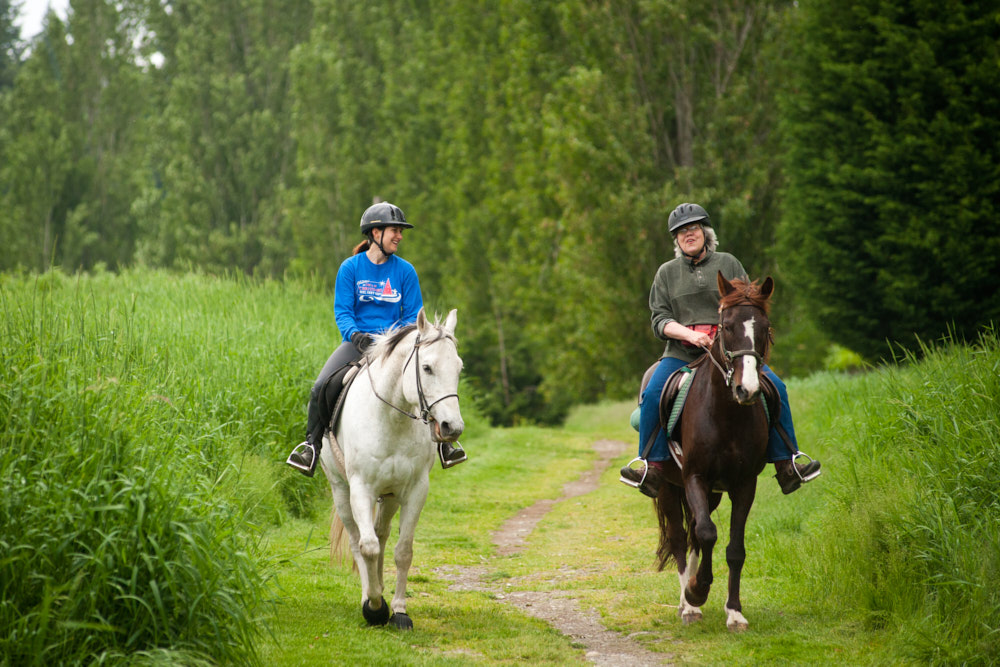 Women riding horses on a trail