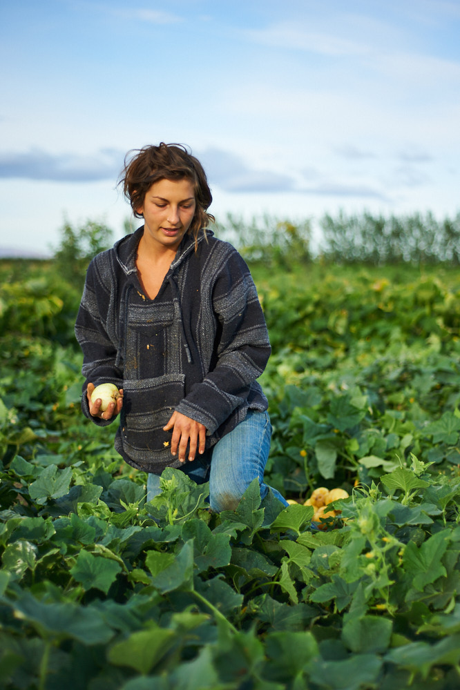 A portrait of a farmer gathering produce at dawn