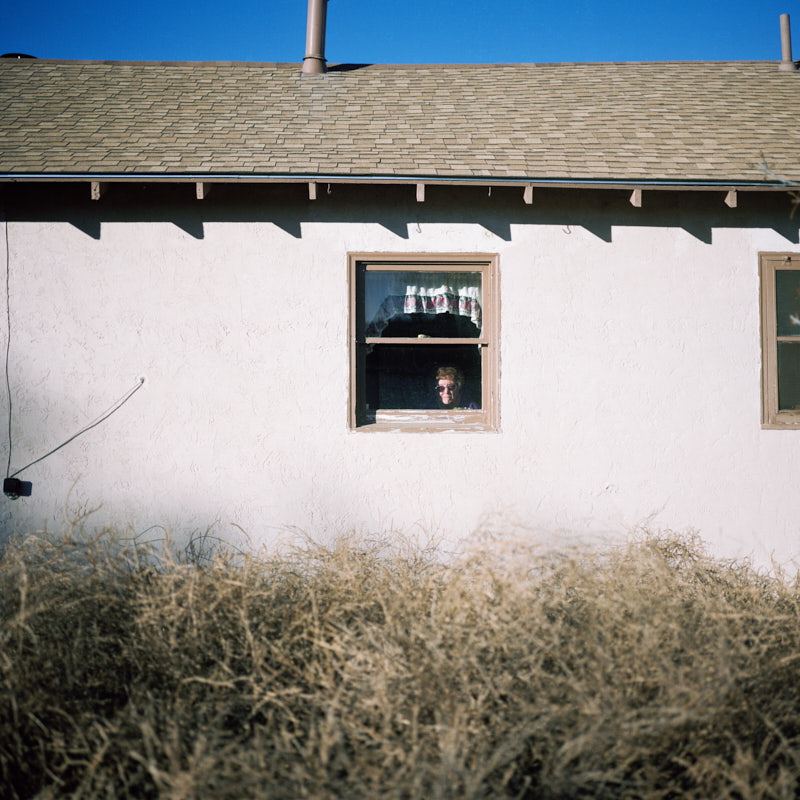 A woman in a house with many tumbleweeds in the yard