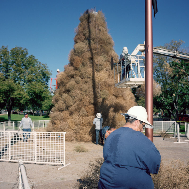 Workers building a tumbleweed Christmas tree