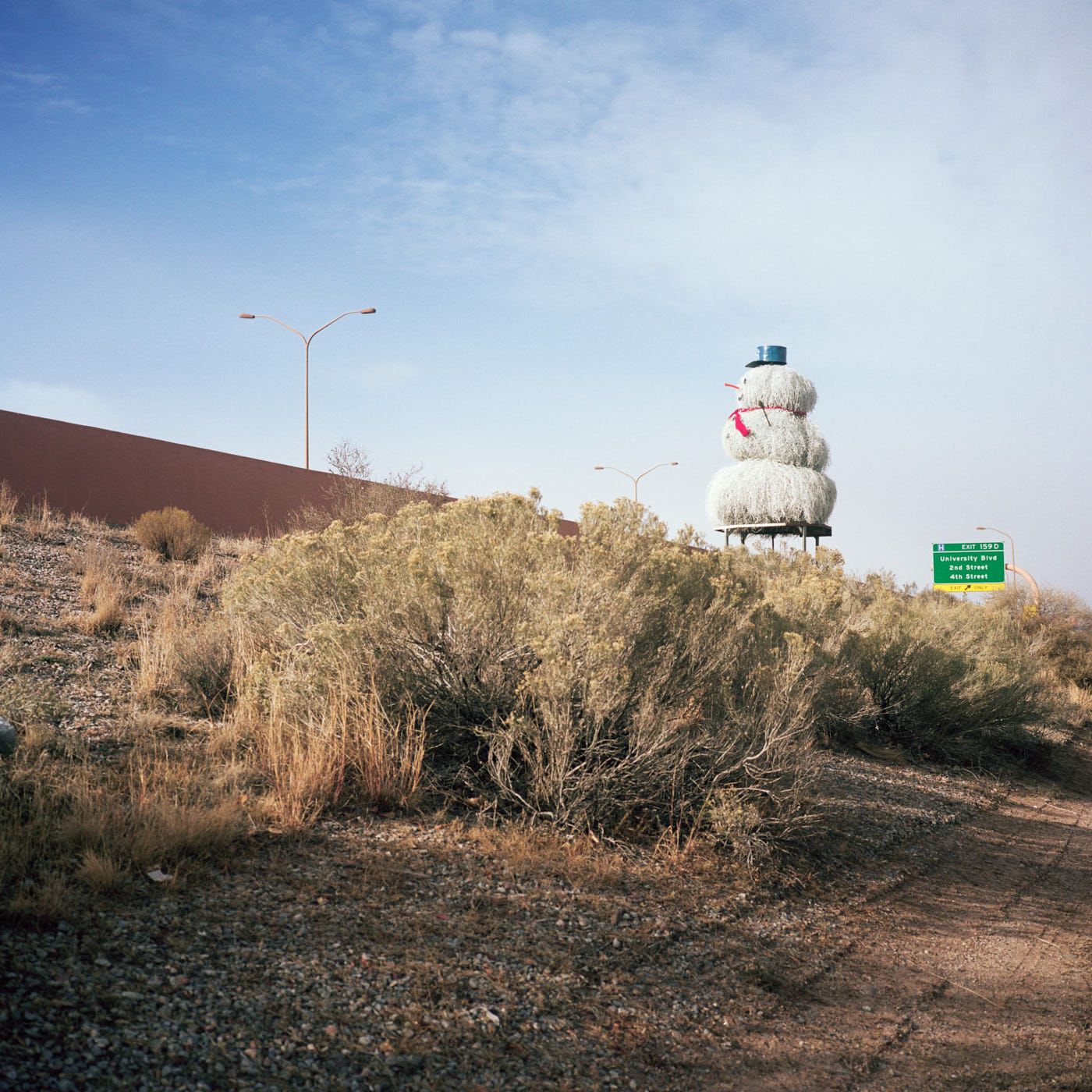 The Tumbleweed