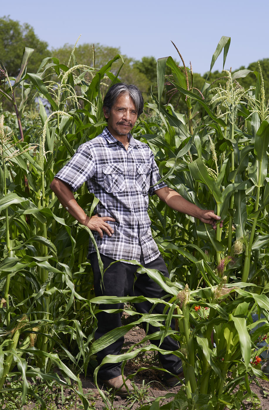 025-farmer-with-corn-portrait