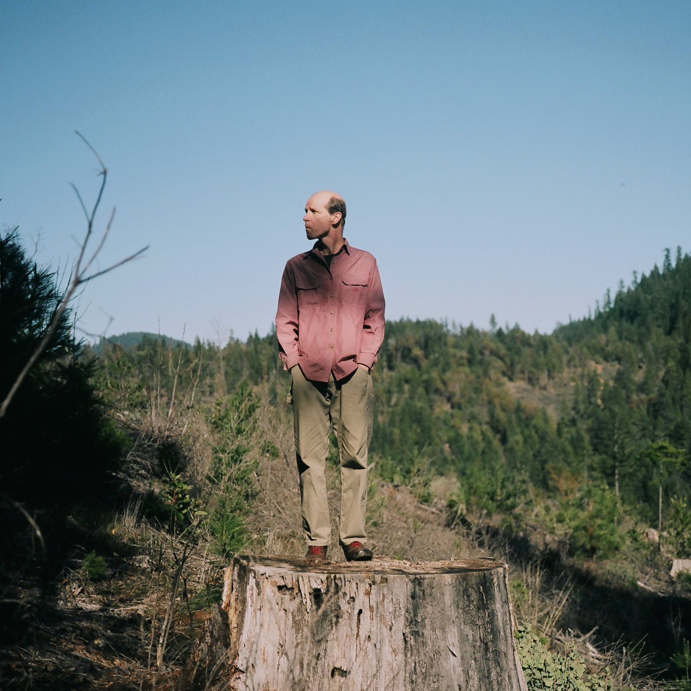 015-man-atop-huge-stump-portrait