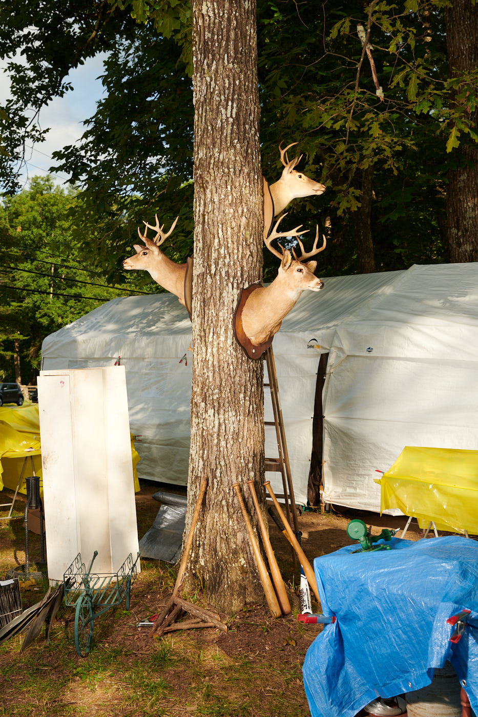 Assorted items for sale in Signal Mountain, TN.