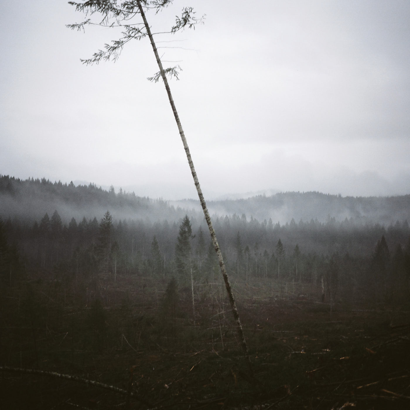 A logged parcel of land in southern Oregon.